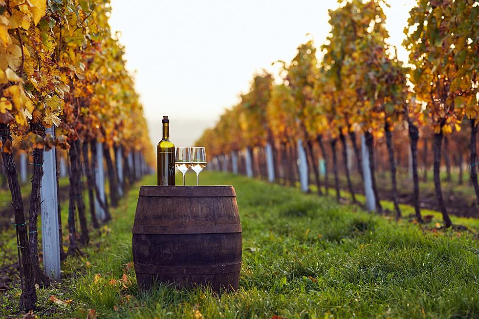 It’s Spring and It’s Time For Wine Tastes Straight From The Barrel