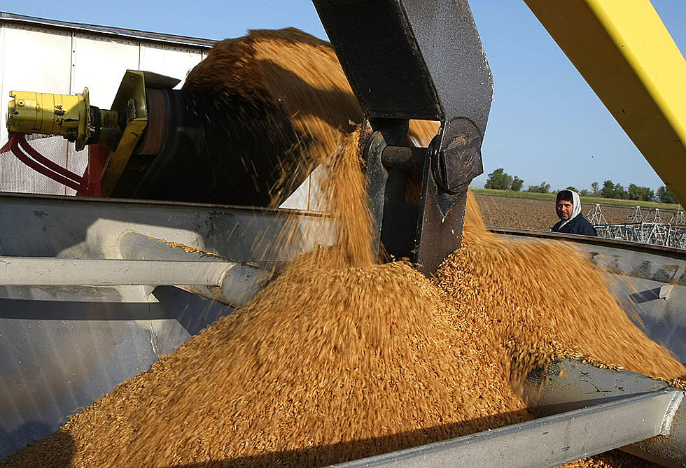 California Rice Acreage and Syngenta Ordered to Sell Arkansas Farmland