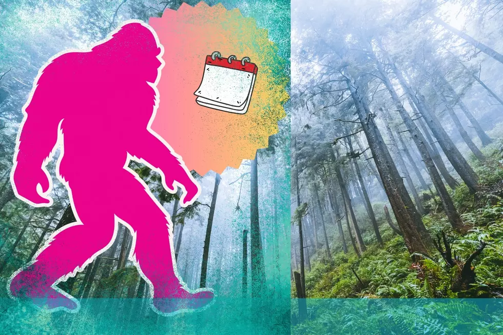 Calling All Bigfoot &#038; Sasquatch Fans: Here&#8217;s 2 Fun Washington State Events to visit in MAY 2024