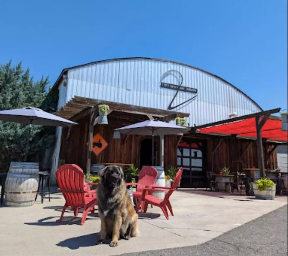 Will Yakima Wine Retain Its Title? Vote Daily Until July 21!