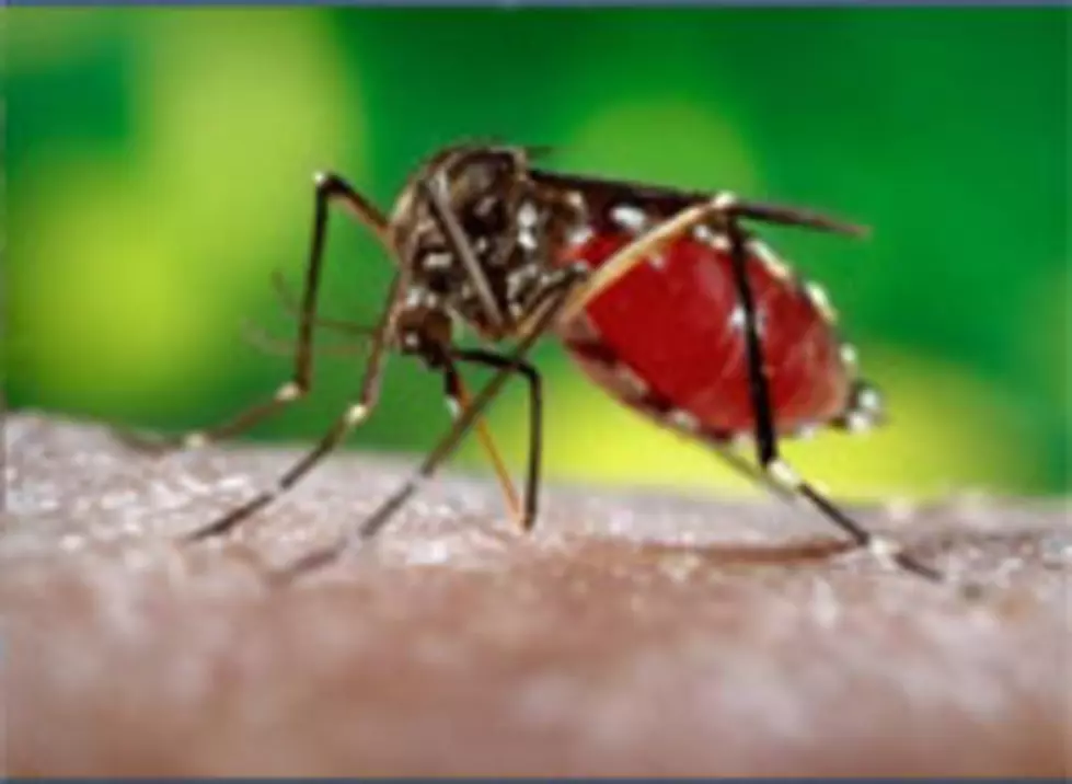 Worry about West Nile Virus with warm Fourth of July weekend