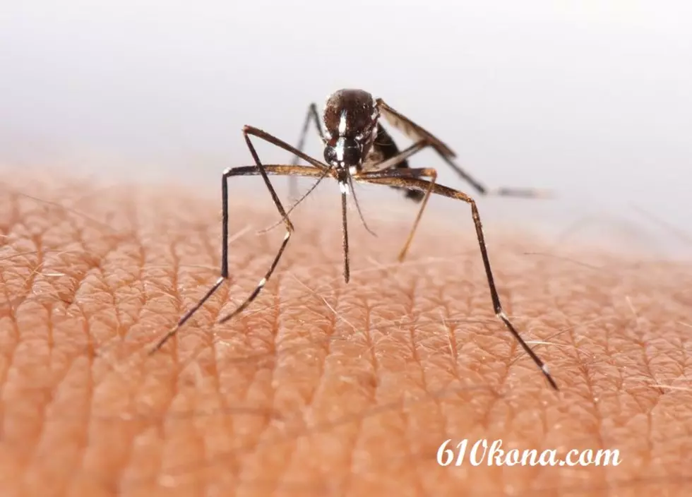 Benton County man diagnosed with West Nile Virus