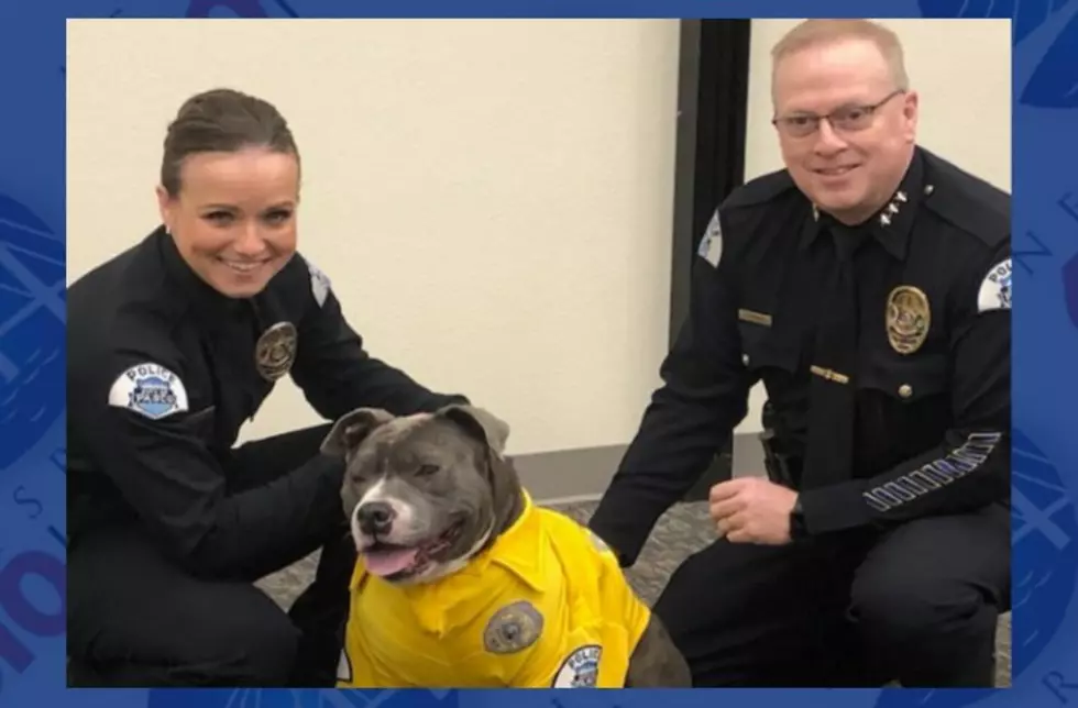 Pup Gets Bucket List Opportunity With Pasco PD