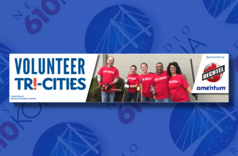 Virtual volunteers needed for local non-profit organizations