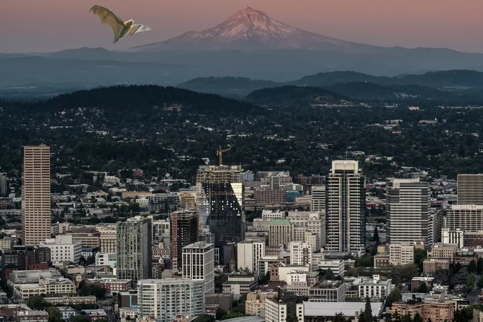 Is Portland Really Haunted? Locals Believe So
