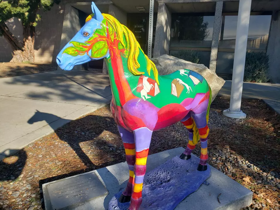 Why are there so many painted ponies in Prosser Washington?