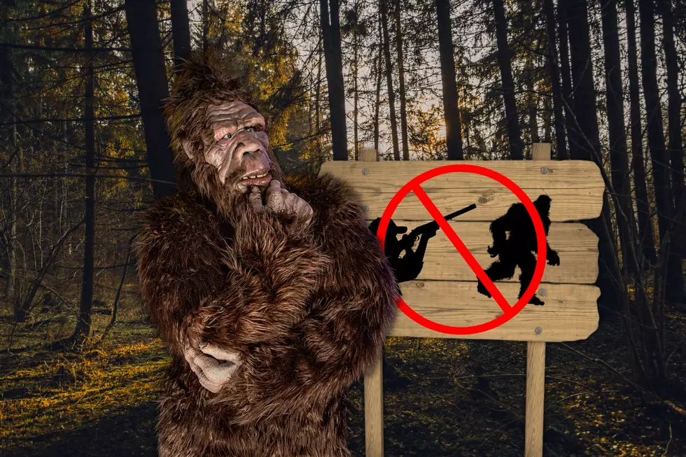 What Washington County Made it Illegal to Hunt Bigfoot?