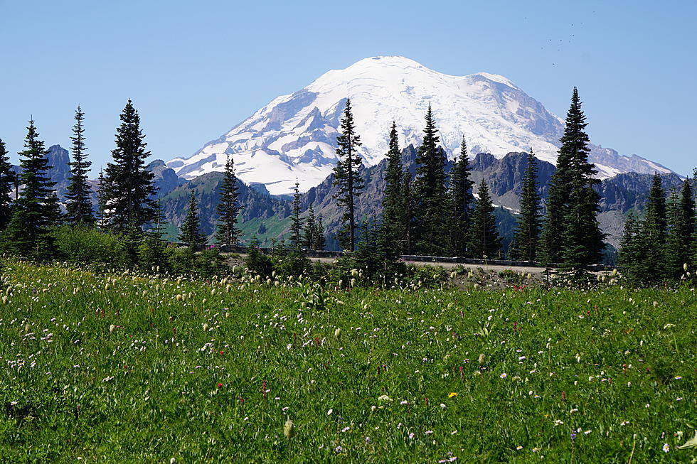 Mount Rainier NP To Stop Using Cash for Admission