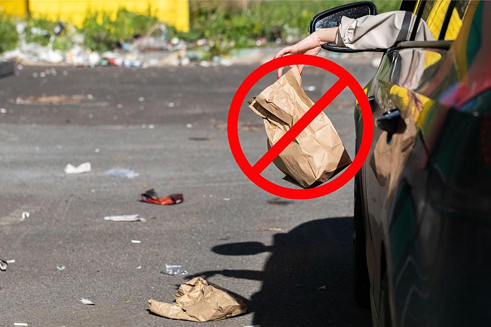 Dept of Ecology Says Nearly 40 Million Pounds of Litter in WA
