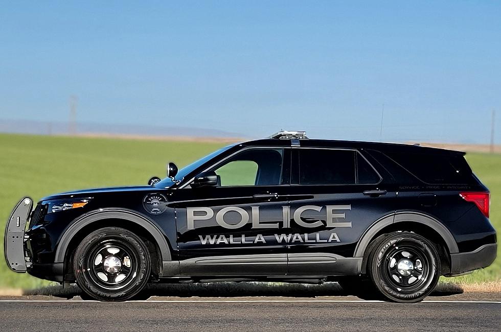 Two are in Custody for Assault and Theft in Walla Walla