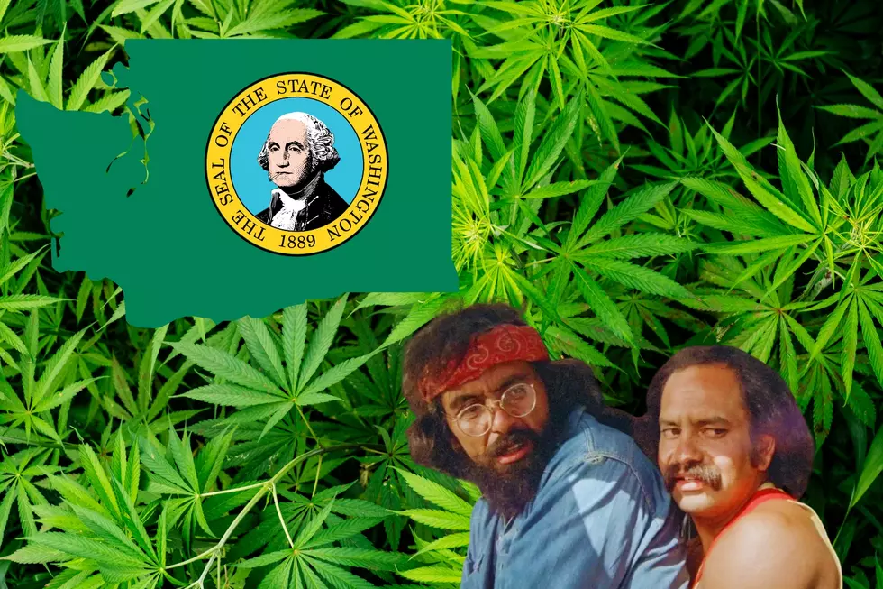 The Washington Roots of 420
