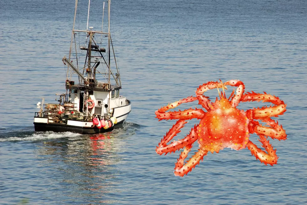 Fishermen Illegally Transporting Crab from Alaska to Seattle