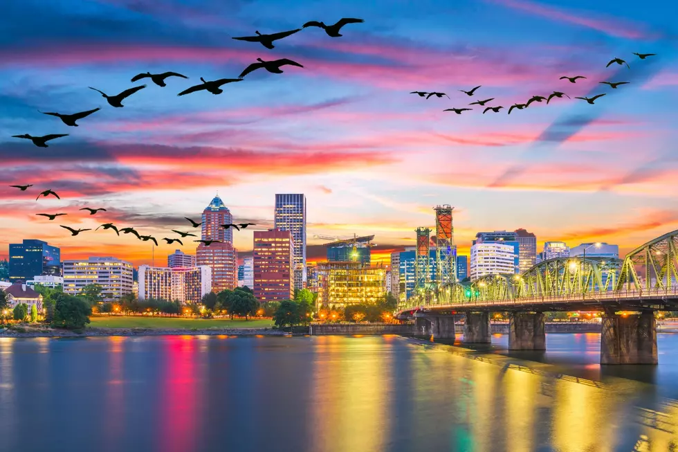 PNW Aims to Reduce Light Pollution to Protect Migrating Birds
