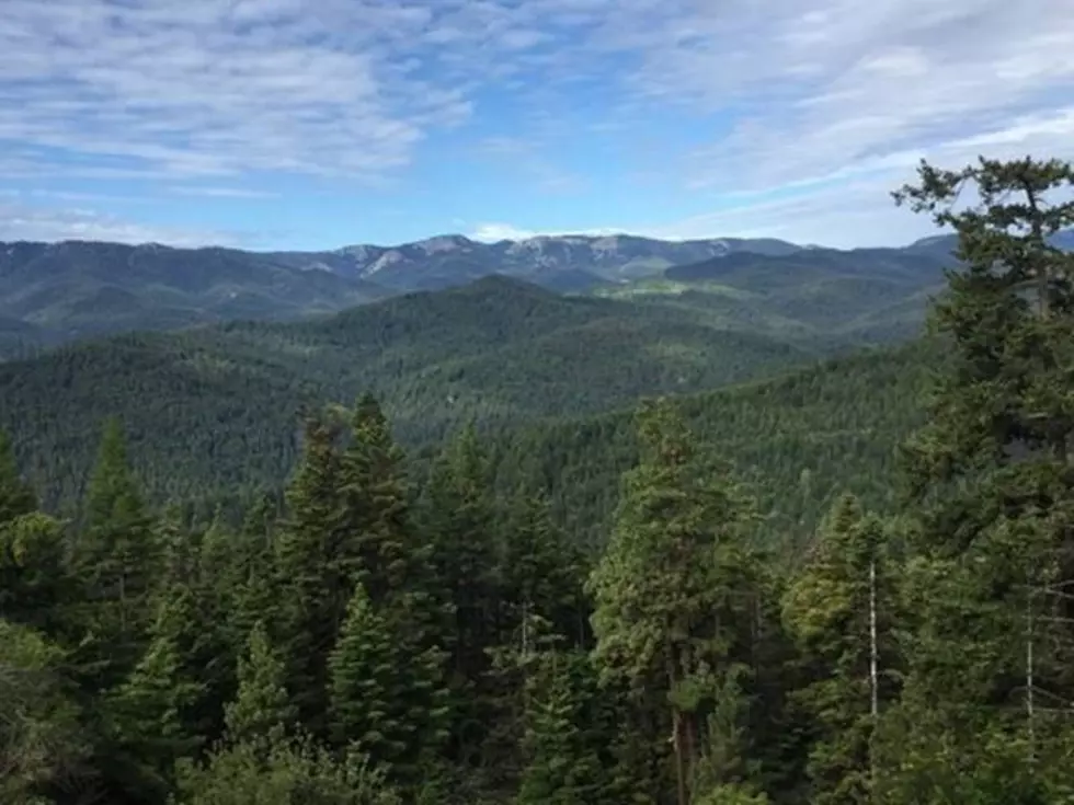 National Forests Expected to Fill Up This Weekend