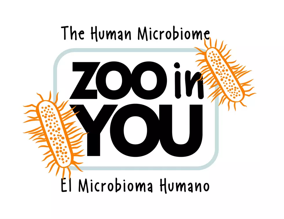 Wenatchee Valley Museum Presents Zoo in You: The Human Microbiome