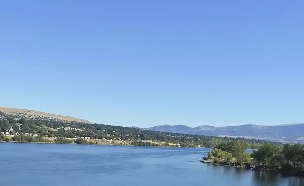 County Looking At How To Remove Woody Debris From Lake Chelan