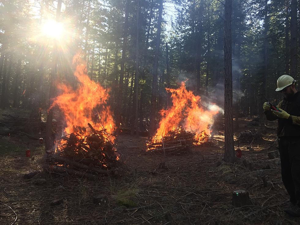 Prescribed Fires Coming to National Forest, Chelan County