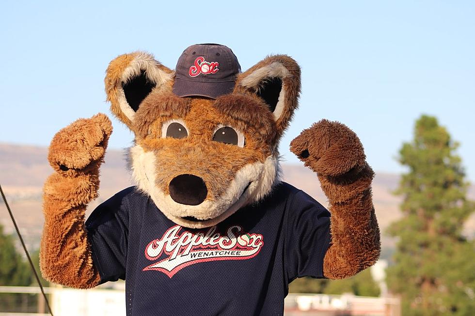 Wenatchee AppleSox Clinch Playoff Berth With Best Home Record In Club History