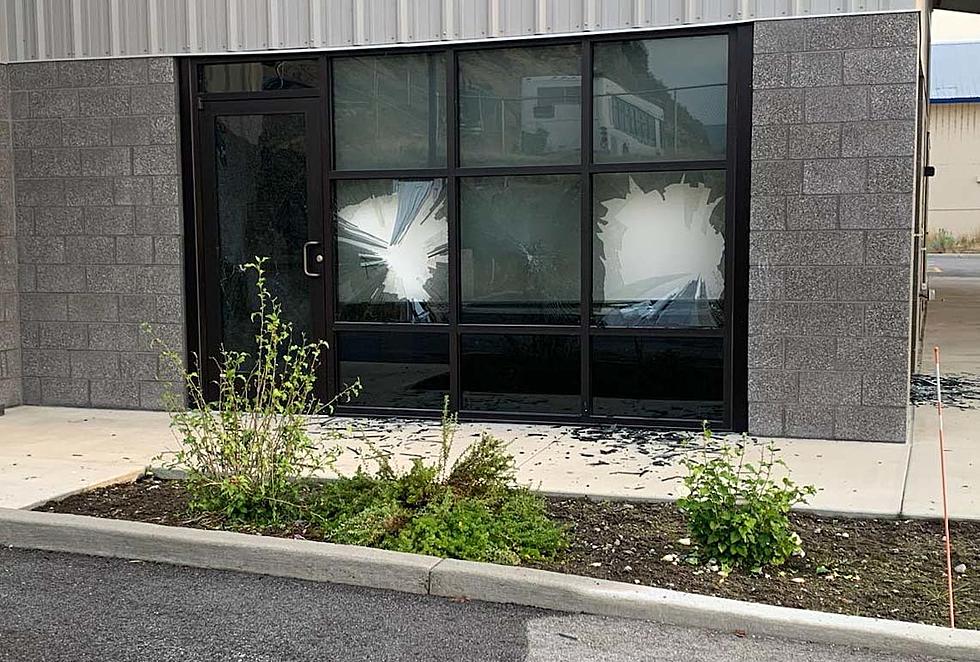 Bighorn Ram Takes Out Windows At Chelan County Building