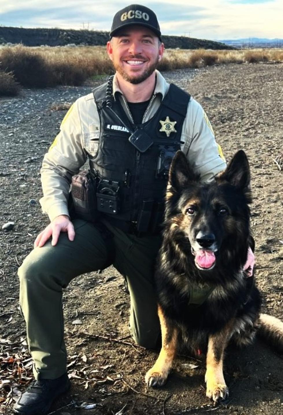 Grant County Sheriff’s Office Retiring K9 Chewbacca