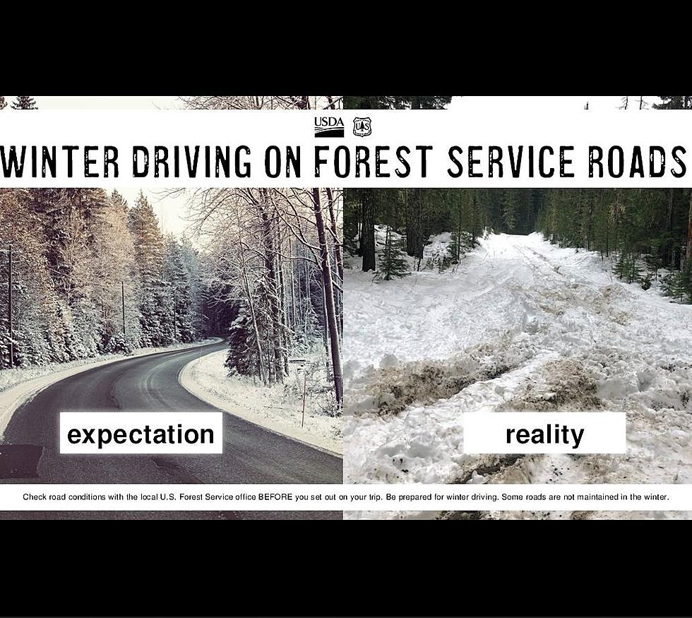 Tips For Drivers Traveling Through The National Forest In Winter 