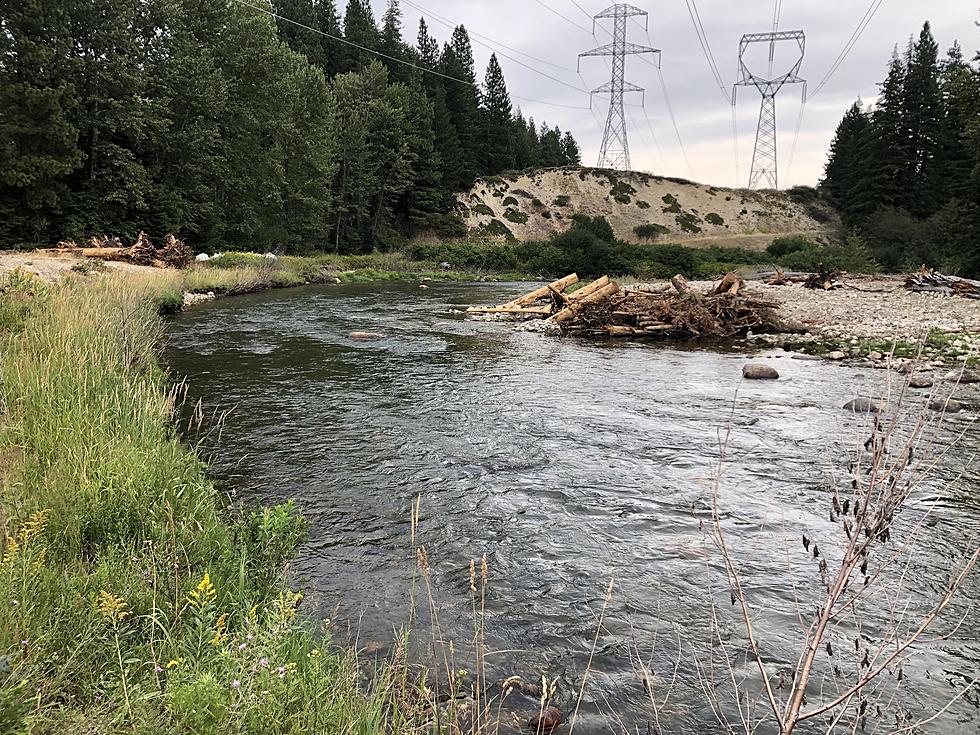 Project To Restore Nason Creek Helping Boost Salmon Population