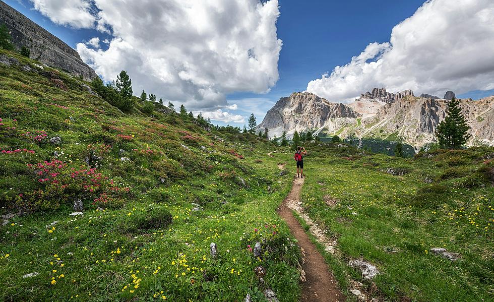 Hikes For Health Series Relaunching In 2024