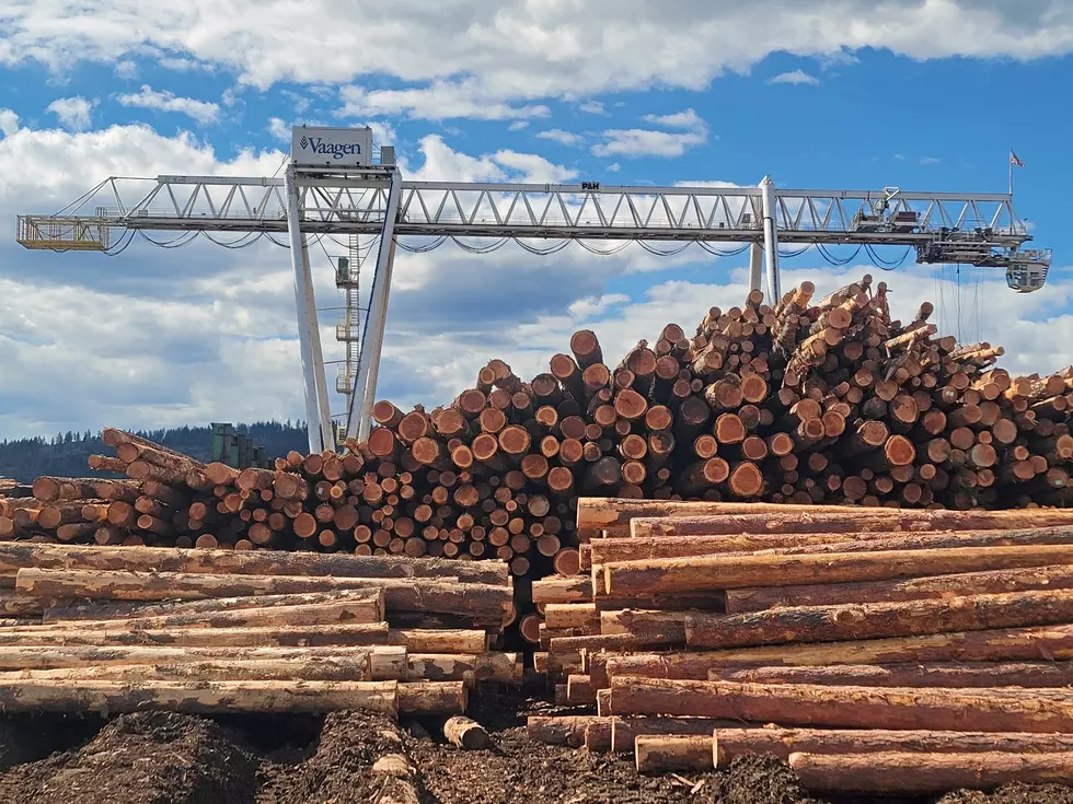 Chelan County Planning For $15-20 Million Wood Products Campus