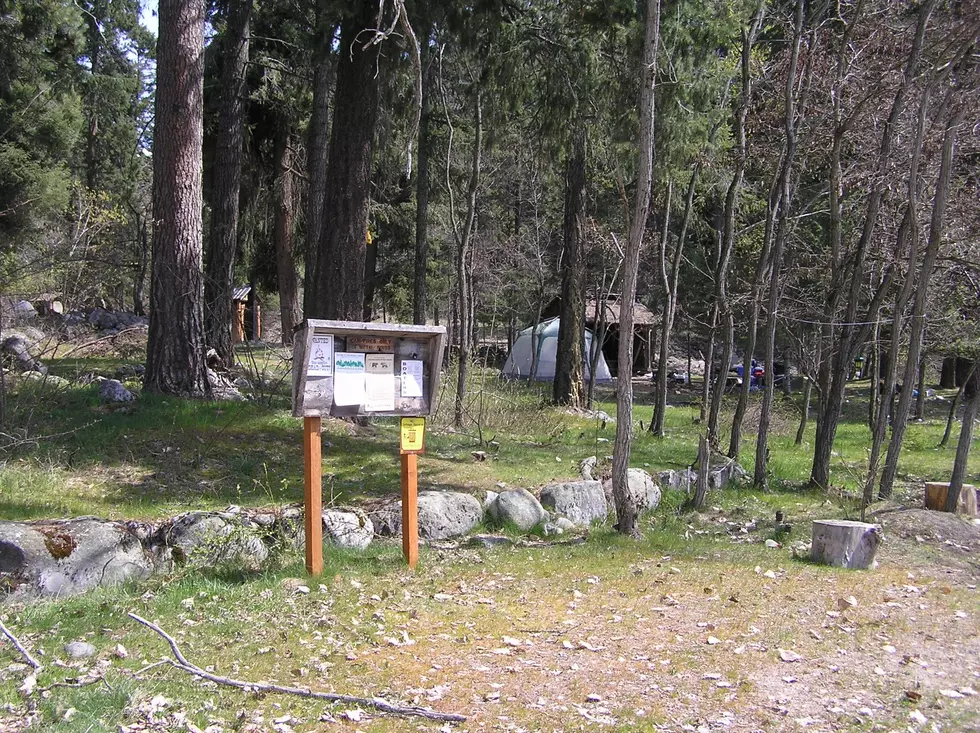 Most Campgrounds Still Not Open In NCW Forest Areas