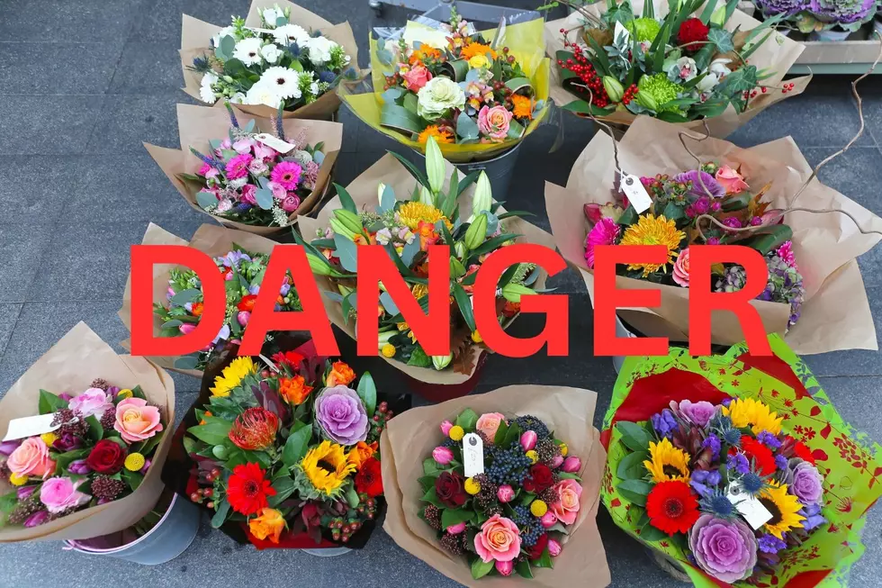 DANGER: Keep These Mother&#8217;s Day Flowers Away From Your Pets