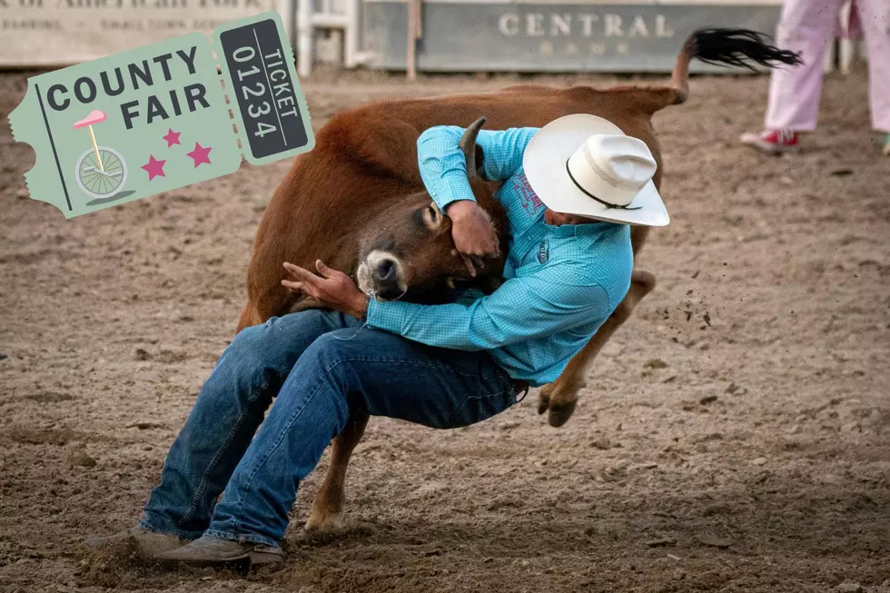See You At The Fair! It’s Fair Season in North Central Washington