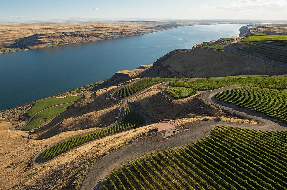 “America’s Best Wine Region” is Here in Washington State
