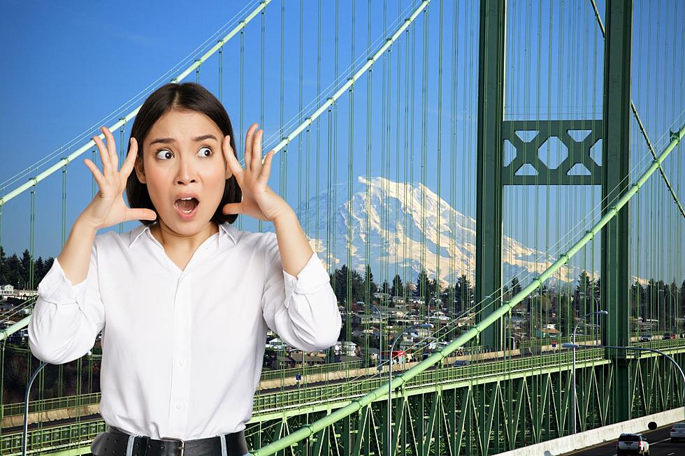 Tacoma Narrows Bridge: A Mind-Boggling True Story