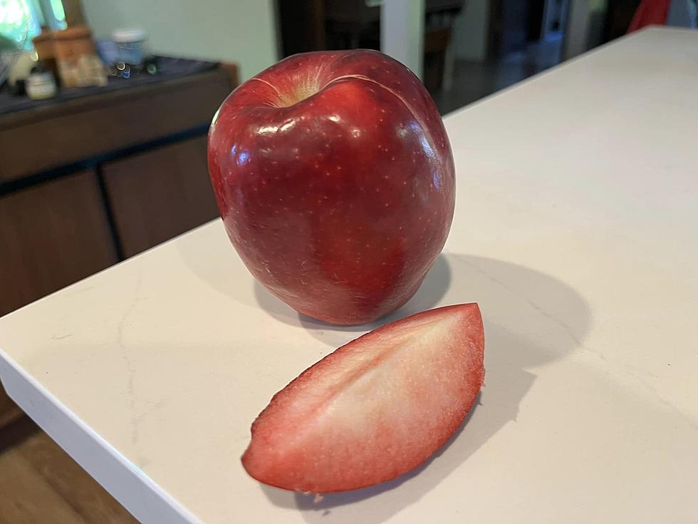 Kissabel Pink and Red-Flesh Apples Arrive in Washington