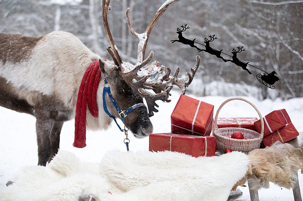 Leavenworth's Reindeer Farm, Your New Christmas Tradition