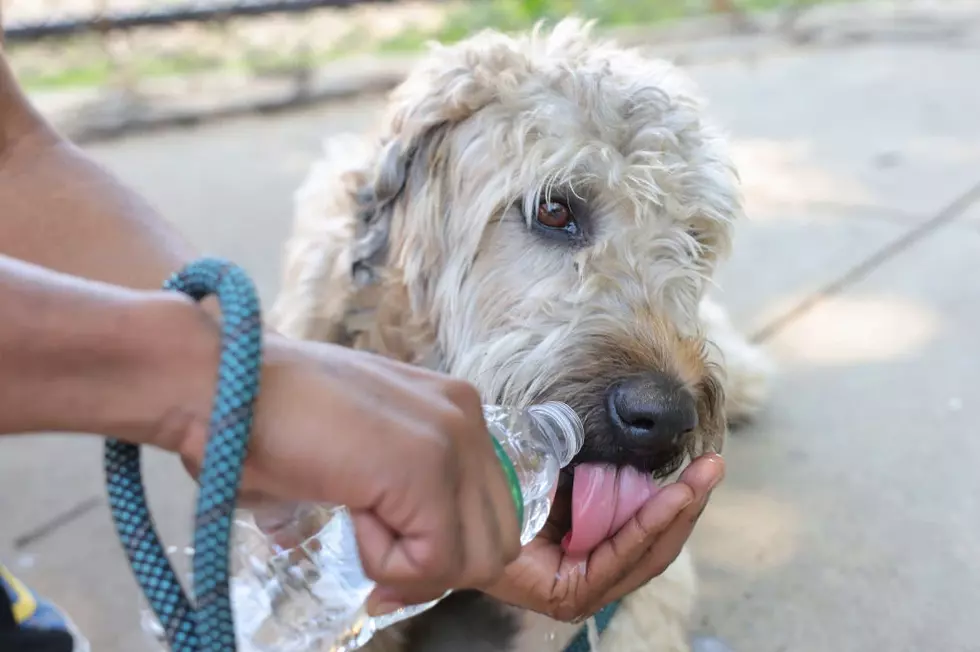 Do You Remember Washington’s Summer Record Heat Wave?