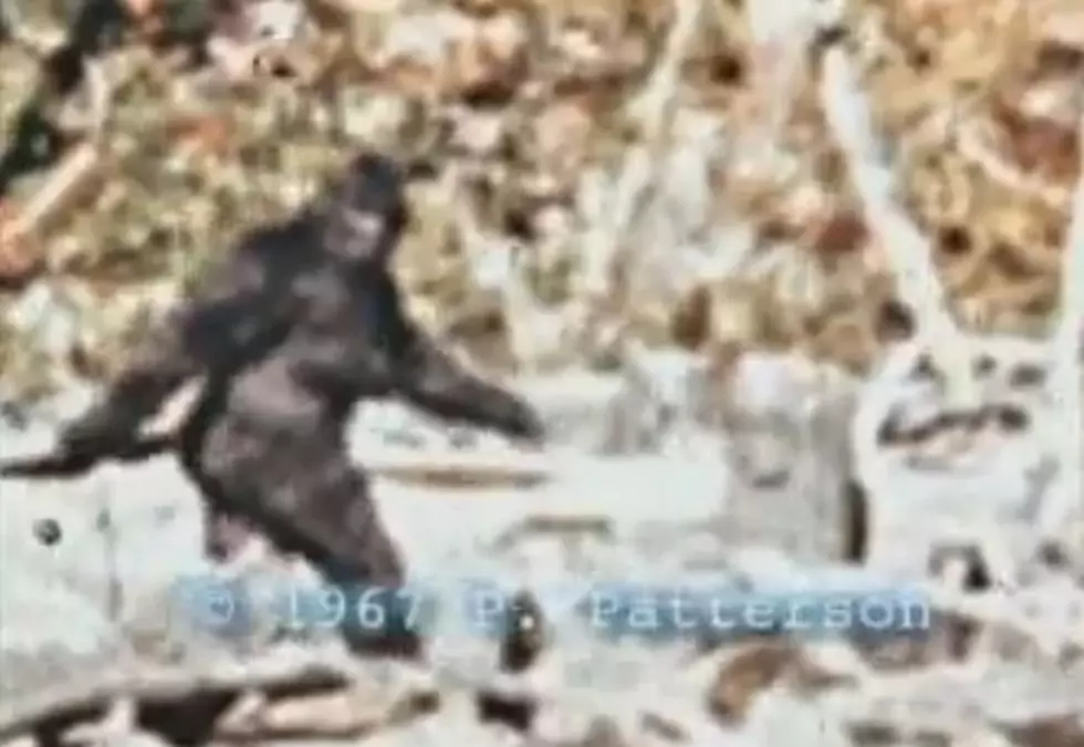 Finding Big Foot TV Show Casts Doubt [VIDEO]