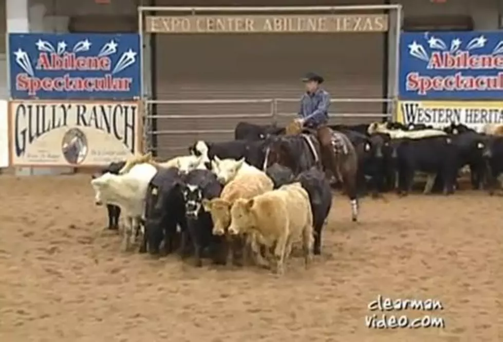 Abilene Spectacular Cutting Event Returns to the Taylor County Expo Center Jan. 3 &#8211; 12th