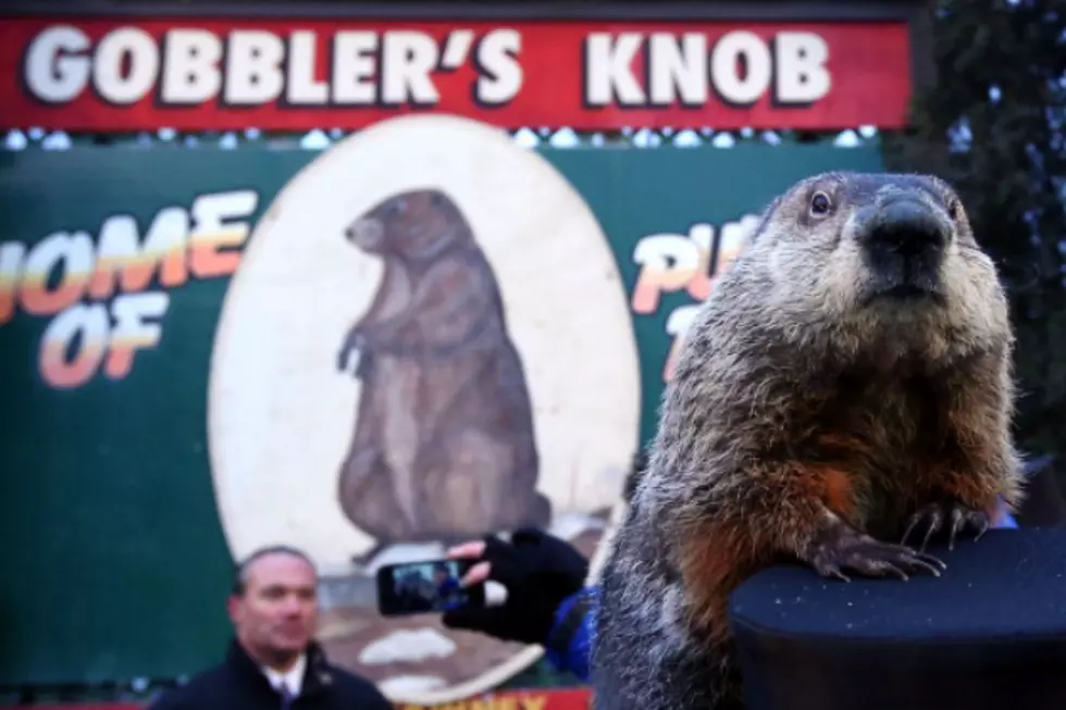 Who Can Predict the Weather Better, Punxsutawney Phil or the Old Farmers Almanac?