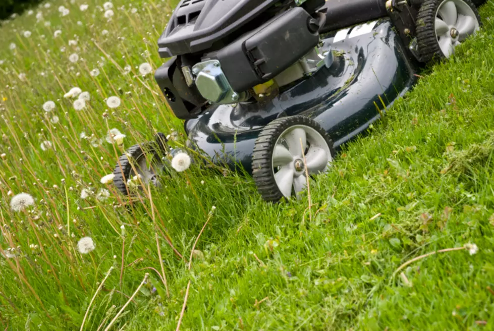 Self-Propelled Lawn Mower on a Rope Makes Lawn Work a Snap