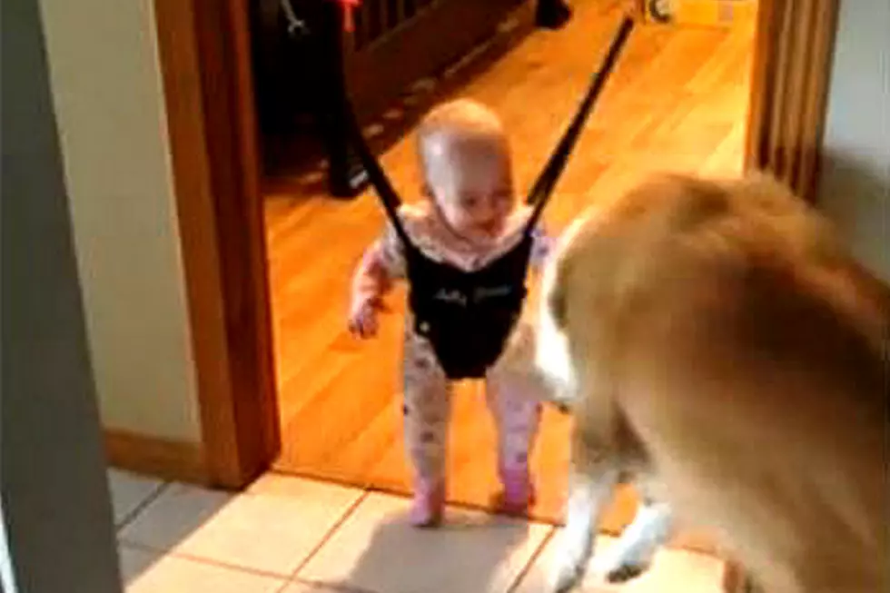 Adorable Family Dog Teaches Infant the Art of Jumping