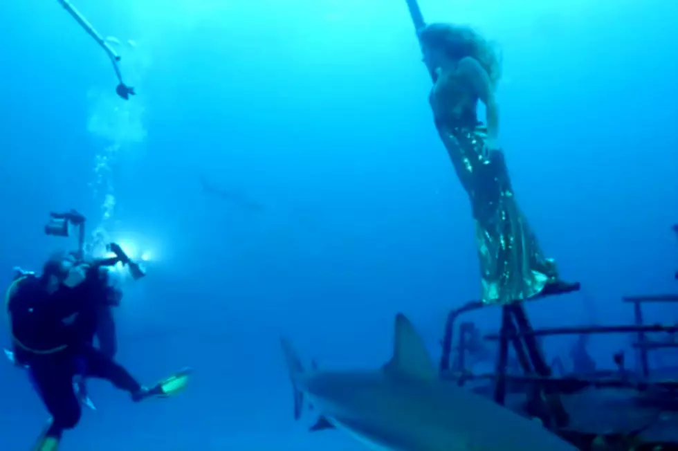 Fashion Model Poses With Real Sharks on a Bahamas Shipwreck