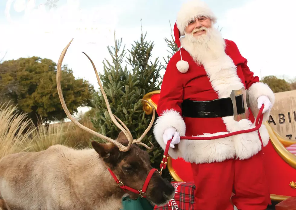 Don’t Miss the Christmas Celebration 2020 at the Abilene Zoo