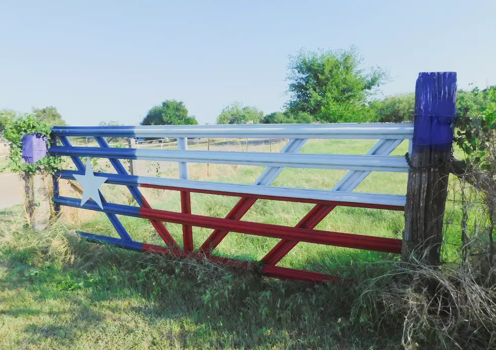 Do You Know What Purple Paint on a Fence Means in Texas?