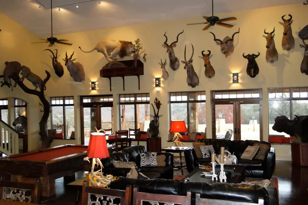 Check Out This Awesome African Safari Airbnb Right Here in Texas