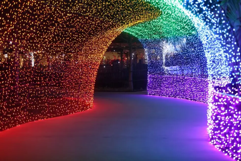The Abilene Zoo is Hosting a Fun Experience Called Zoo Lights