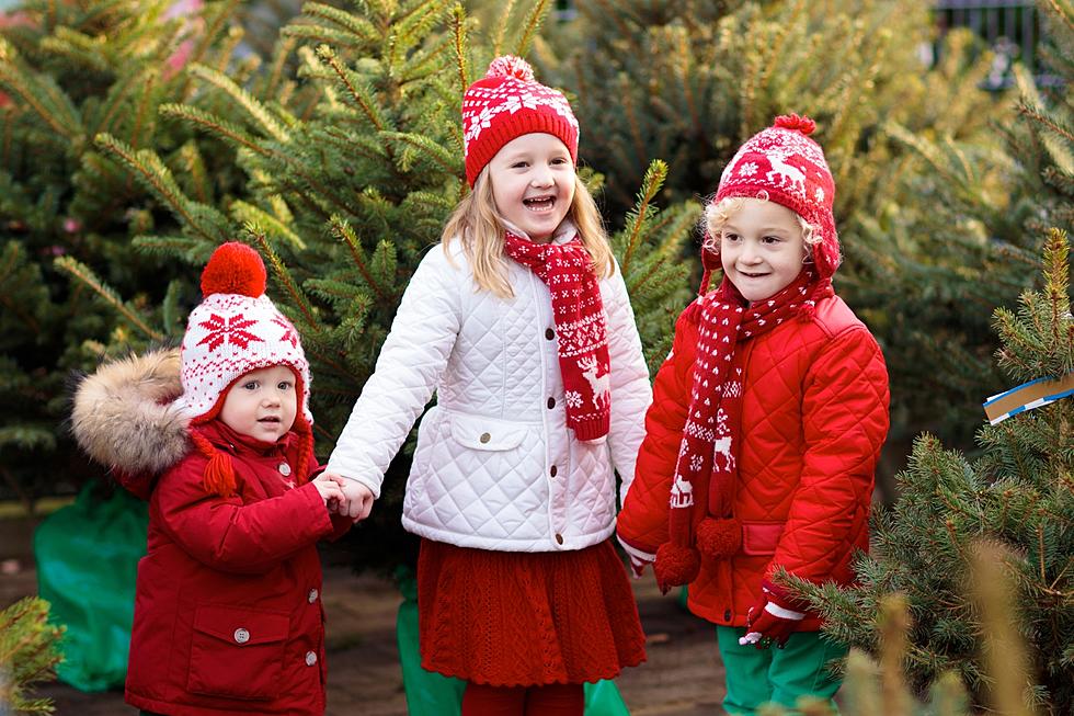 Celebrate the Holidays in Style at a West Texas Tree Farm