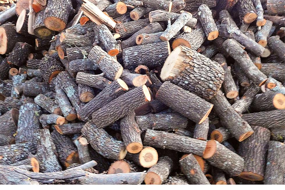 How to Choose the Right Firewood in Texas