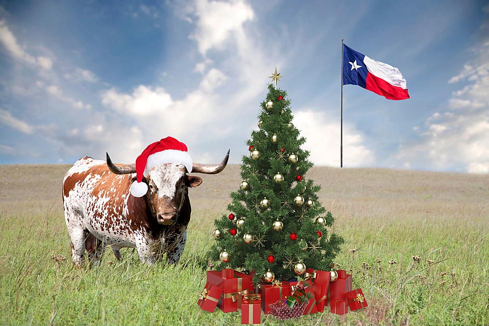 When Celebrating Christmas Remember to Include the 12 Days of TX