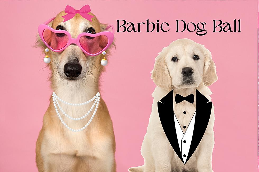 Bring Your Fur Babies to Abilene’s 2024 Barbie Dog Fur Ball